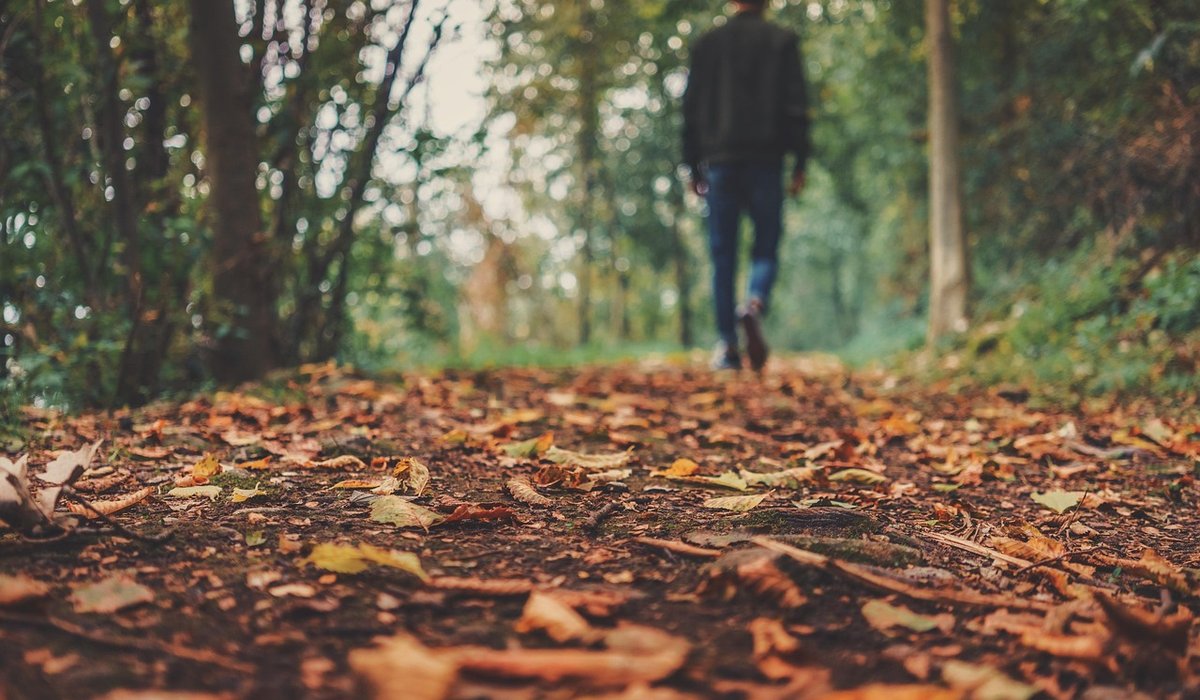 Using Mulch to Improve Soil and Reduce Weeds